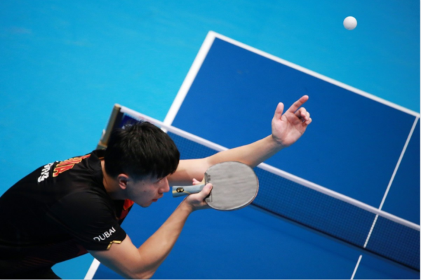 Stage Tennis de table Adulte – Image 3