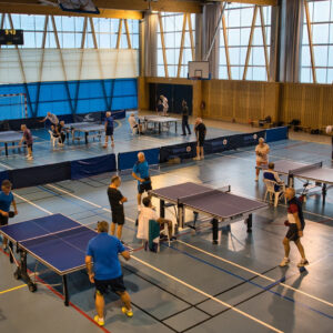 Stage Tennis de table Adulte