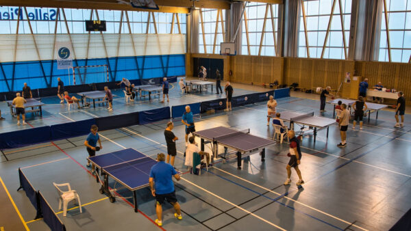 Stage Tennis de table Adulte